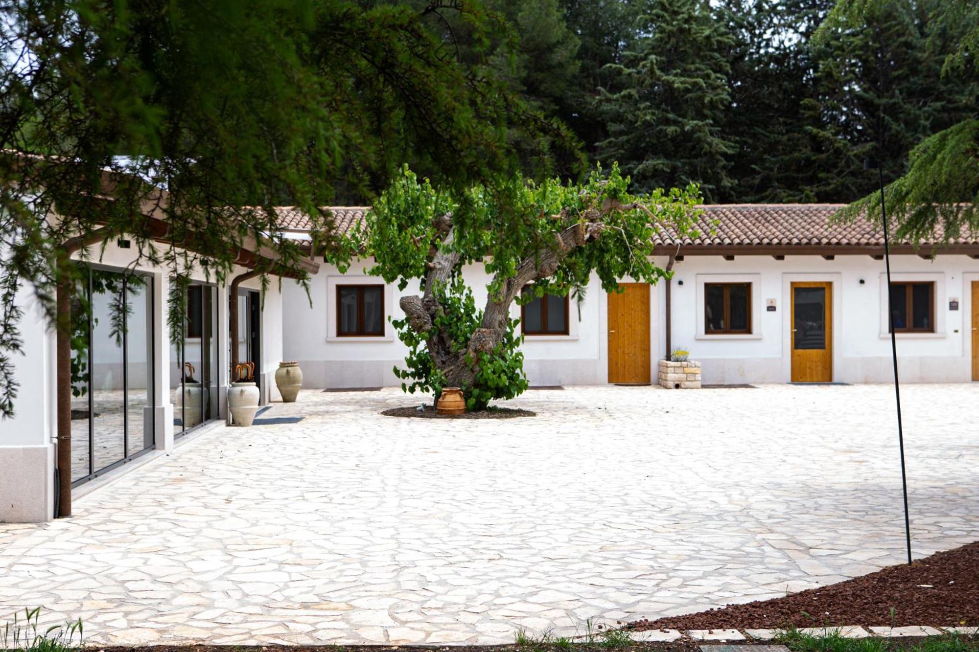 קסטל דל מונטה Wine Resort Le Vigne Al Castello מראה חיצוני תמונה